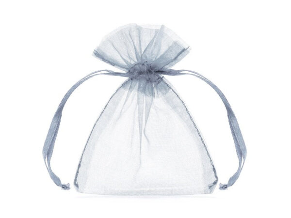 Silver Organza Bag - Small Rectangle